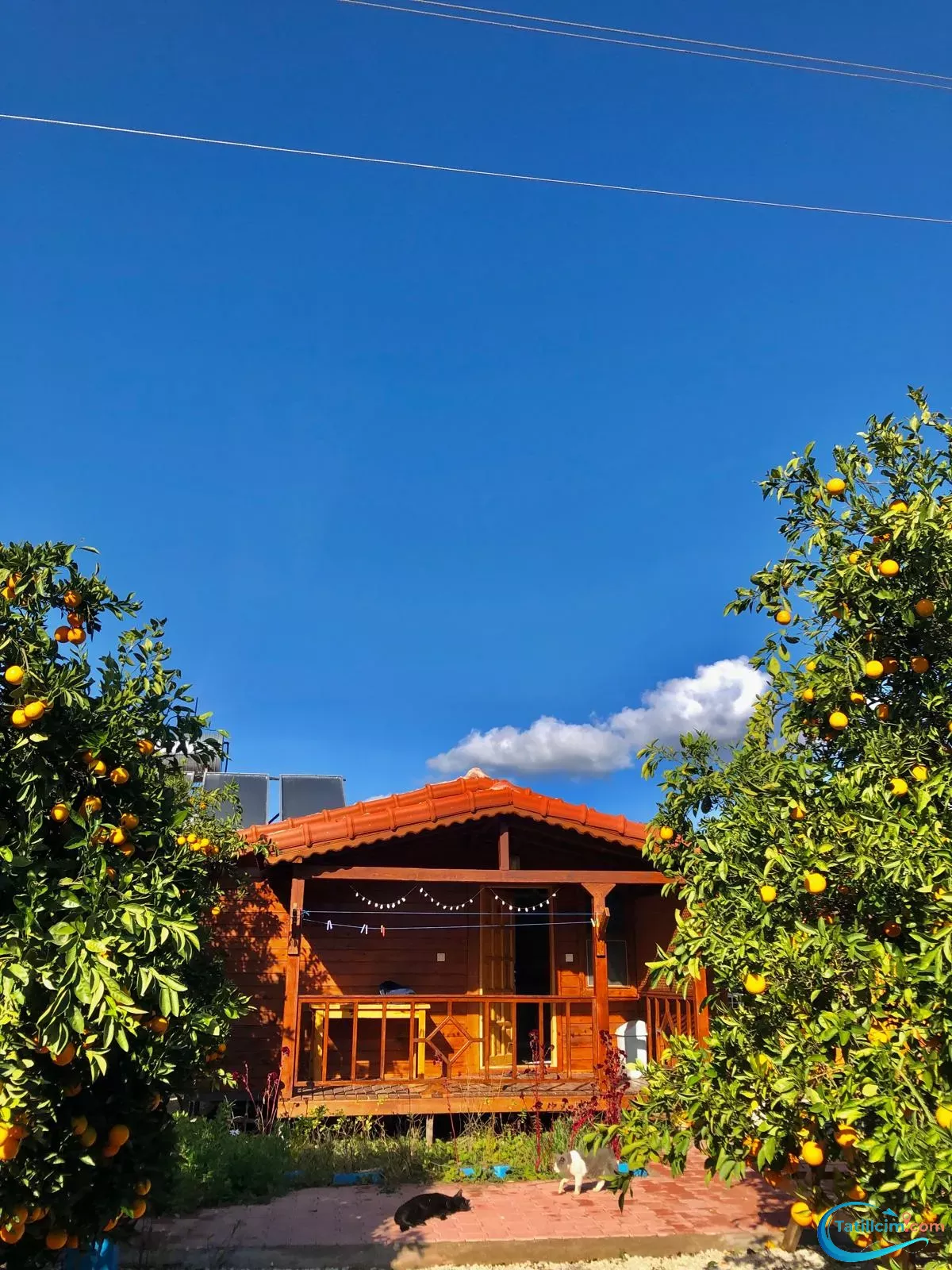 tatilcim.com Zehra Apart Evleri